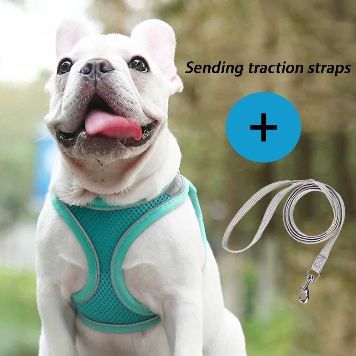 Dog Strap Set Suitable for Small Dogs Adjustable Puppies Cat Strap Vests French Bulldogs Chihuahua Puppies Outdoor Walking Lead StrapsT250318
