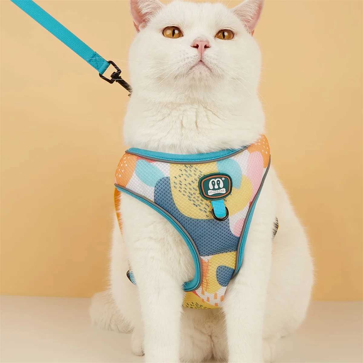 New Arrives Adjustable Soft Mesh With Fashionable Design Pet Harness And Leash SetT250318