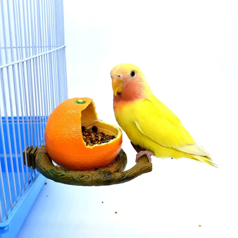 Food grade drinking bowl container feeder Interesting fruit shaped bird parrot Orange citrate for Flat noodles pet supplies 250318