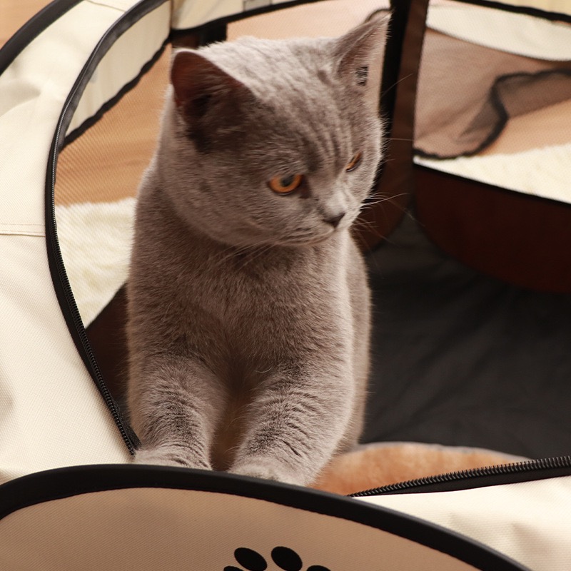 Pet Portable Foldable Pet Playpen, Dog Playpen Indoor/Outdoor - Ideal for Puppies, Cats, Rabbits - Removable Zipper & Collapsible Travel Bowl
