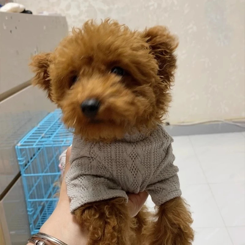 Mini Dog Winter Clothing ner y Jersey Wool Sweater Chihuahua York Bulldog Sphinx Cat Knitted 250318