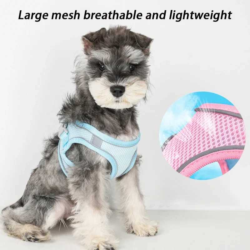 Dog Strap Set Suitable for Small Dogs Adjustable Puppies Cat Strap Vests French Bulldogs Chihuahua Puppies Outdoor Walking Lead StrapsT250318