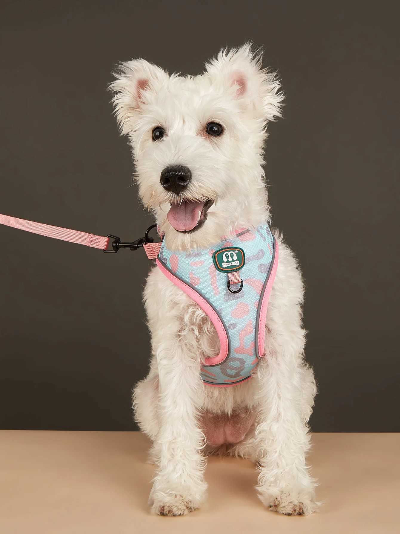 New Arrives Adjustable Soft Mesh With Fashionable Design Pet Harness And Leash SetT250318