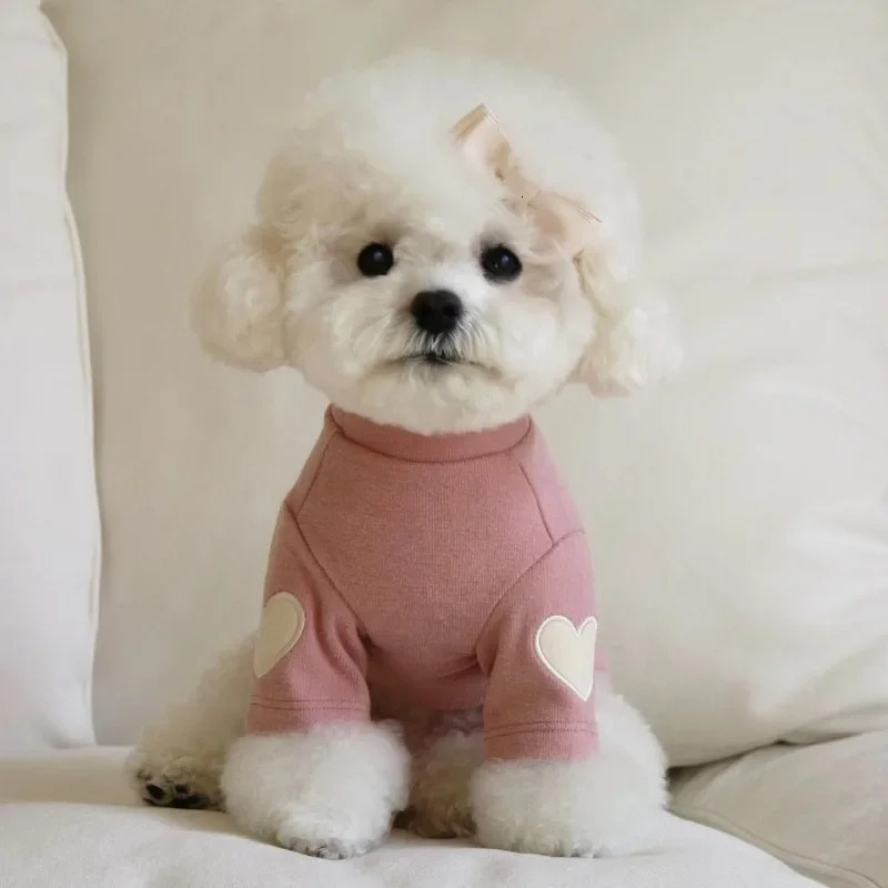 Love Winter Warm Pet Dog Clothing Bottom Shirt Cute Bear Teddy Yorkshire Hoodie Cat ner 250318