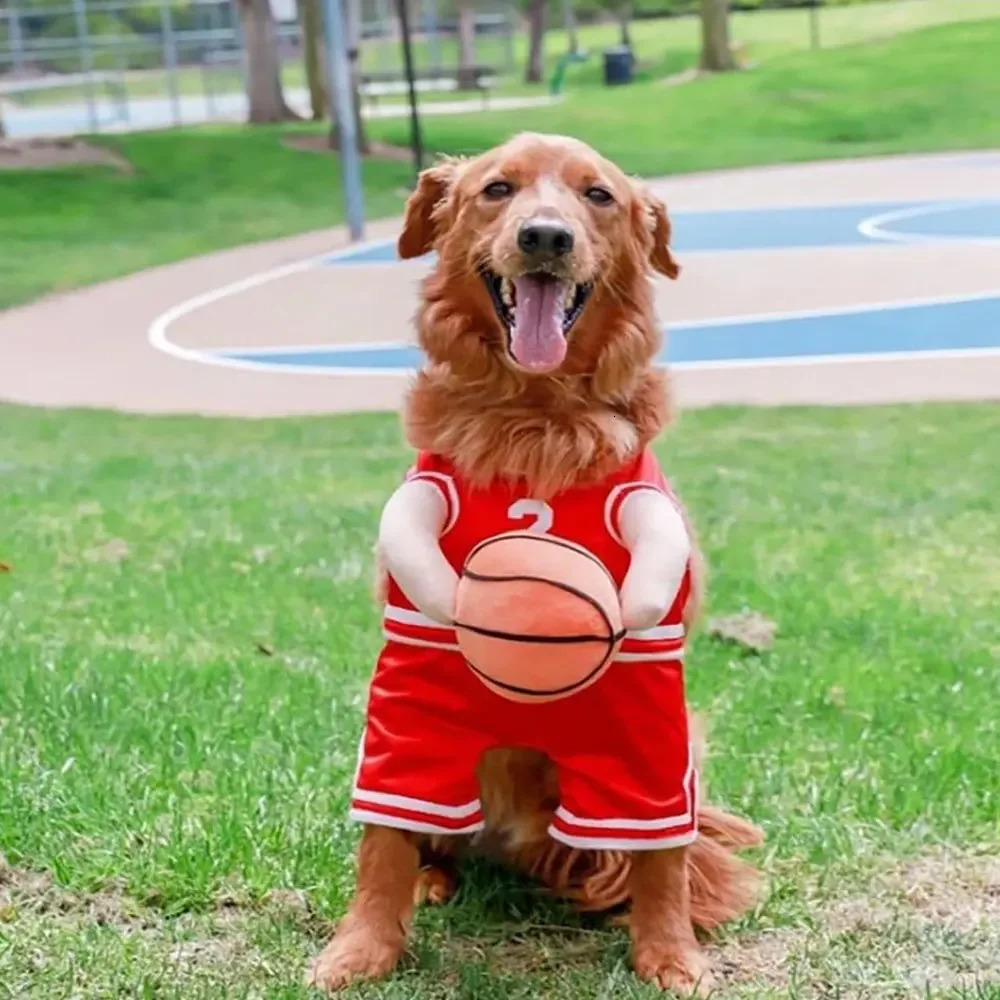 High quality pet decoration clothing handball dog basketball sports shirt creative pure cotton ball 250318