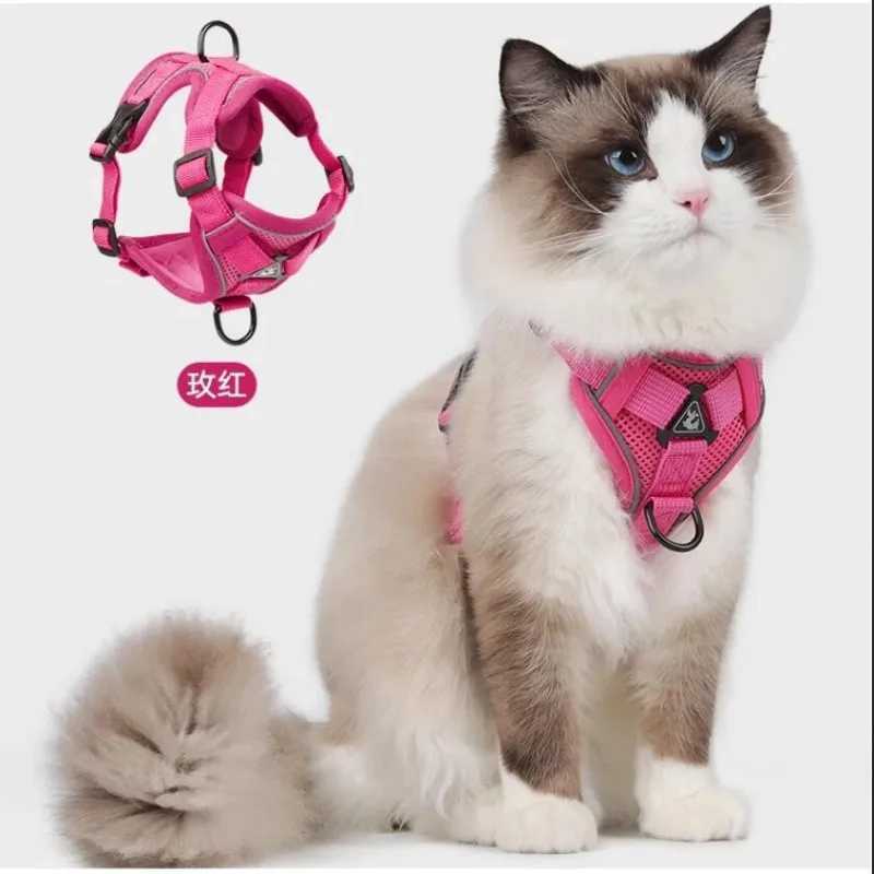 Fashionable Reflective Cat Strap and Belt Set Breathable Mesh Pet Strap Suitable for Puppies Cats Kitten Accessories Collier ChatT250318