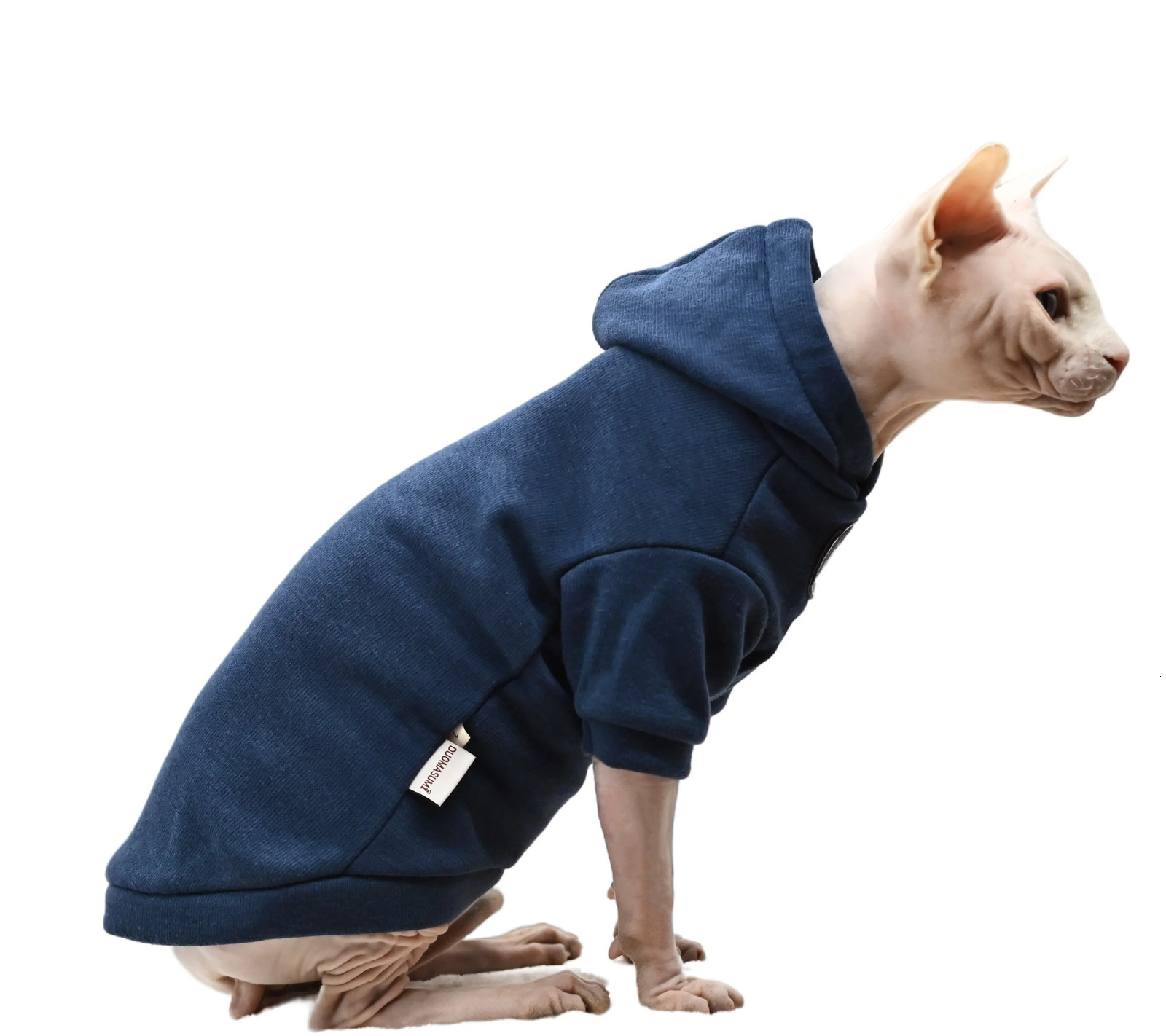 Sphinx cat pet clothing soft and warm hoodie sports style cotton hairless Devonshire winter 250318