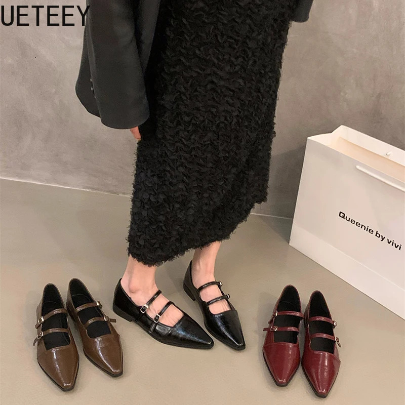 Pointed Toe Women Mary Jane Shoes Fashion Shallow Buckle Shoes Ladies Casaul Dress Low Heel Leather Shoes 250318