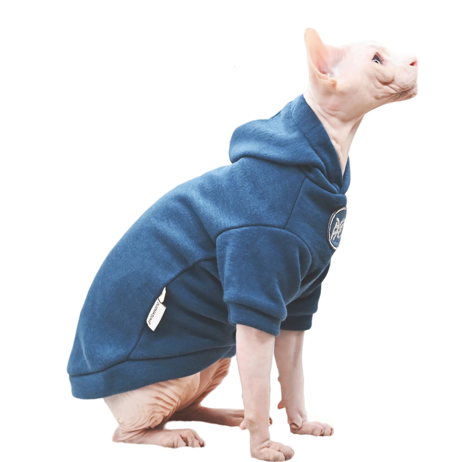 Sphinx cat pet clothing soft and warm hoodie sports style cotton hairless Devonshire winter 250318