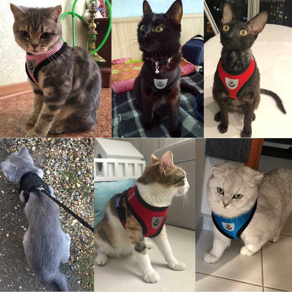 Mesh Cat Harness and Leash Breathable Reflective Kitten Cats Harnesses Small Dog Puppy Harness for French Bulldog Chihuahua PugT250318