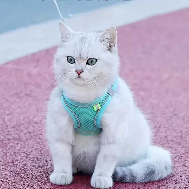 Cat Strap Set Adjustable Dog Collar for French Bulldog Strap Vest Puppy Chihuahua Pet Outdoor Walking Lead StrapT250319