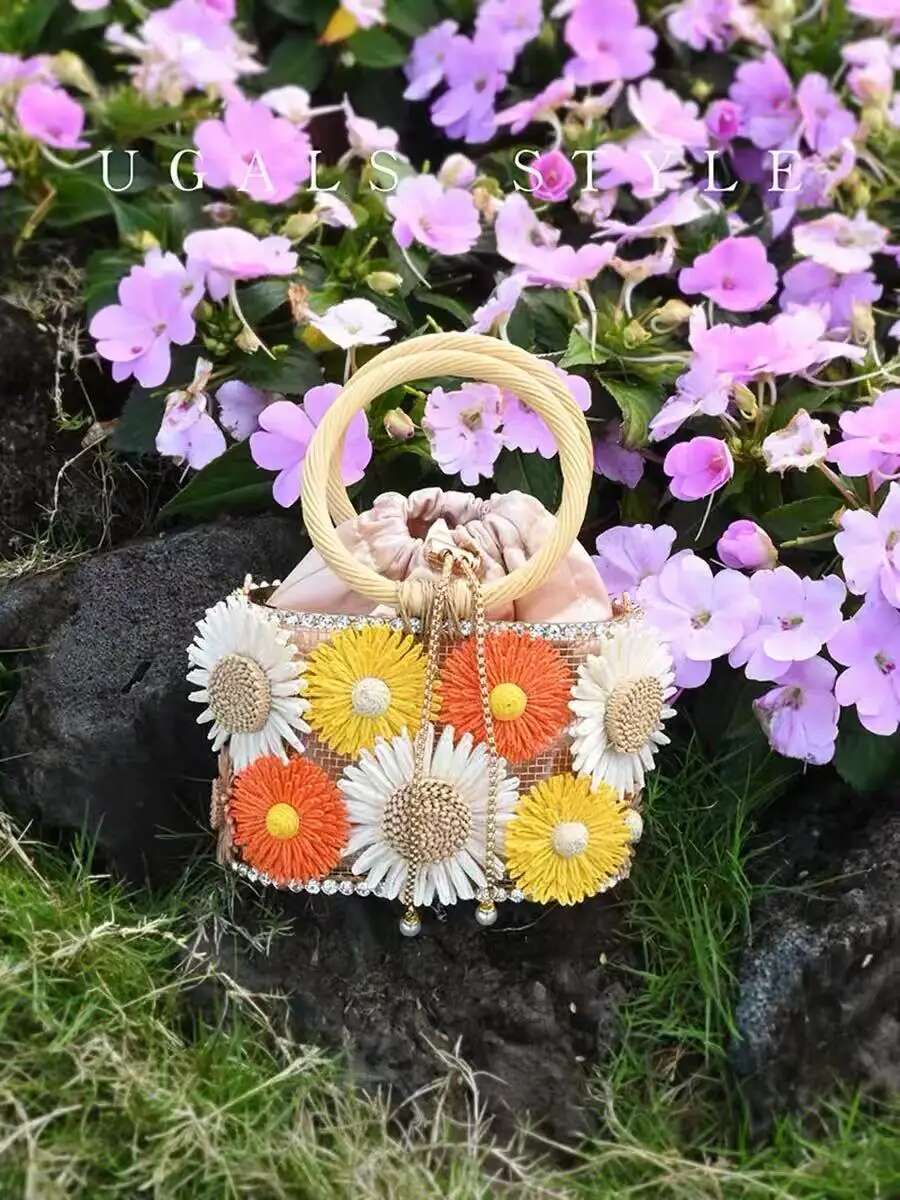 Designer Fashion Appliques Ral Women Handbag Metal Cage Glitter Dia Clutch Purse Holiday Beach Crossbody Bag