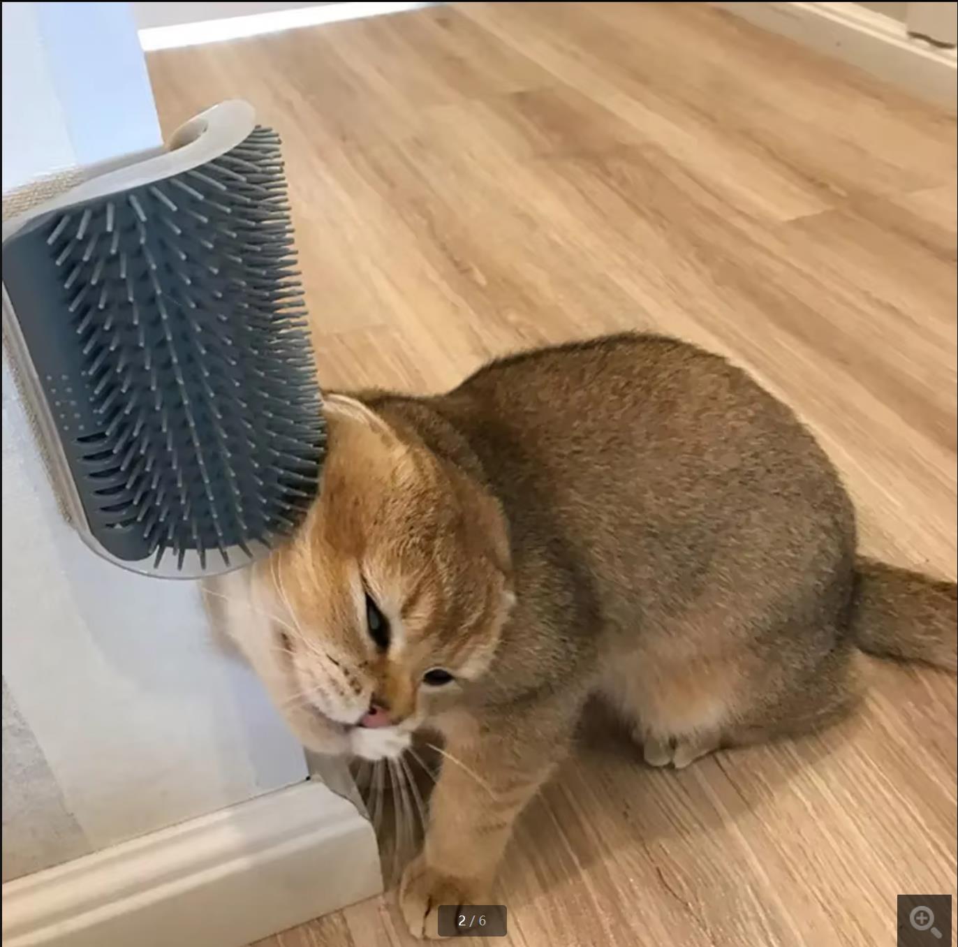 Cat Care Combo: Soft Bristle Massage Brush & Corner Scrapper Comb for Easy Shedding Management