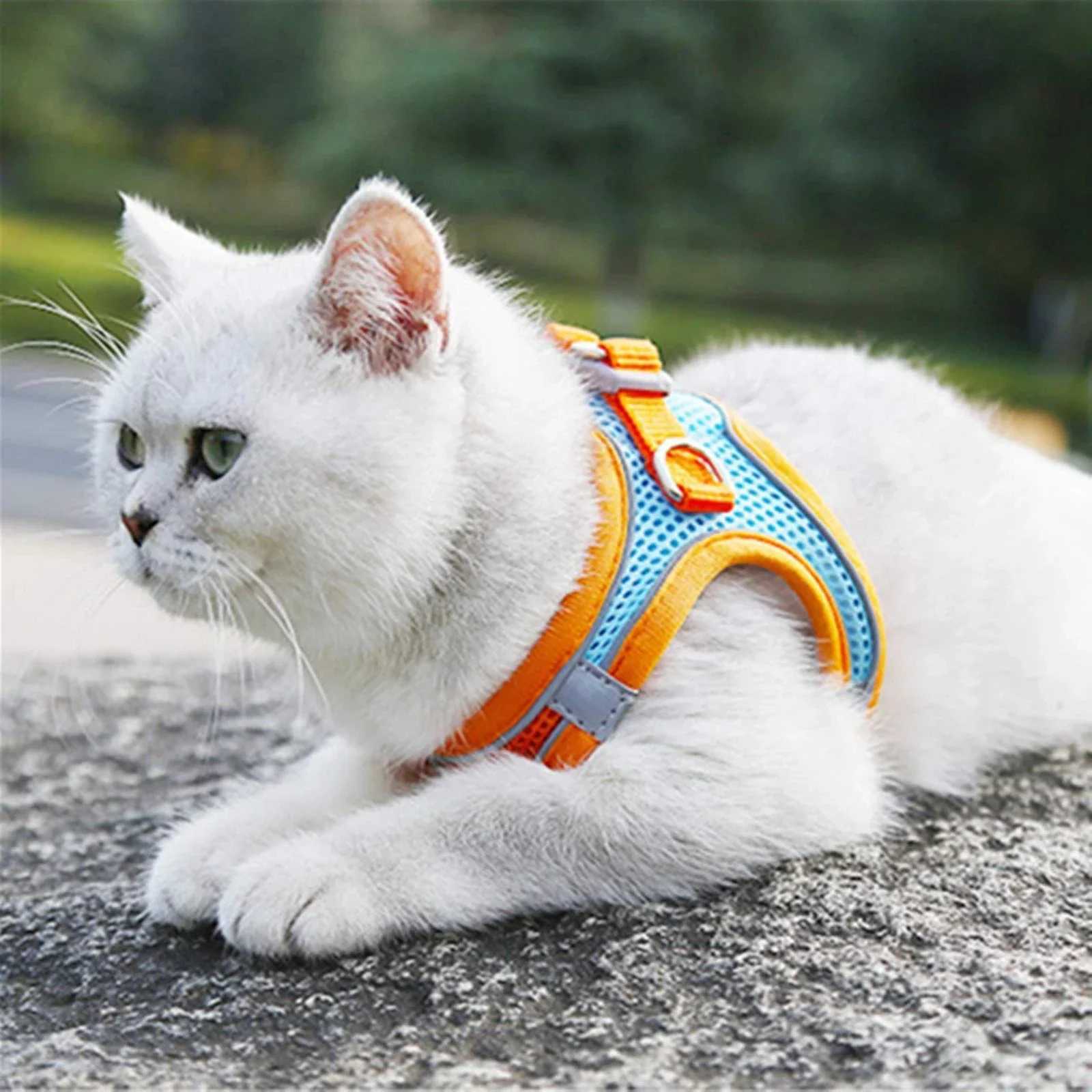 Breathable mesh cat and dog strap adjustable vest walking lead strap soft pet strap suitable for cats puppies lapdogs ChihuahuaT250318