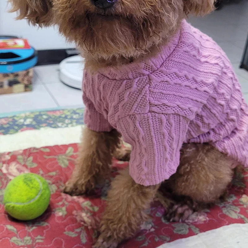 Mini Dog Winter Clothing ner y Jersey Wool Sweater Chihuahua York Bulldog Sphinx Cat Knitted 250318