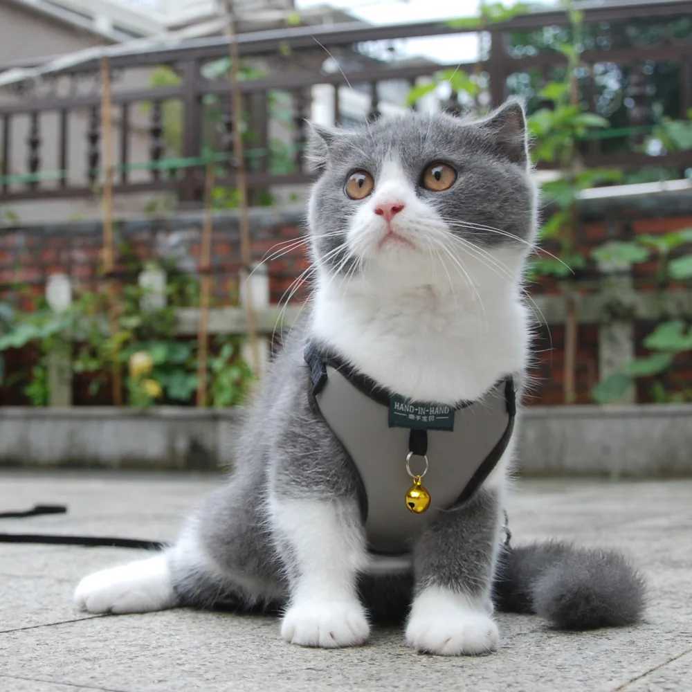 Pet cat harness vest strap with adjustable pet harness and bell walking strap suitable for cats dogs small and medium-sized dogs imitation leatherT250
