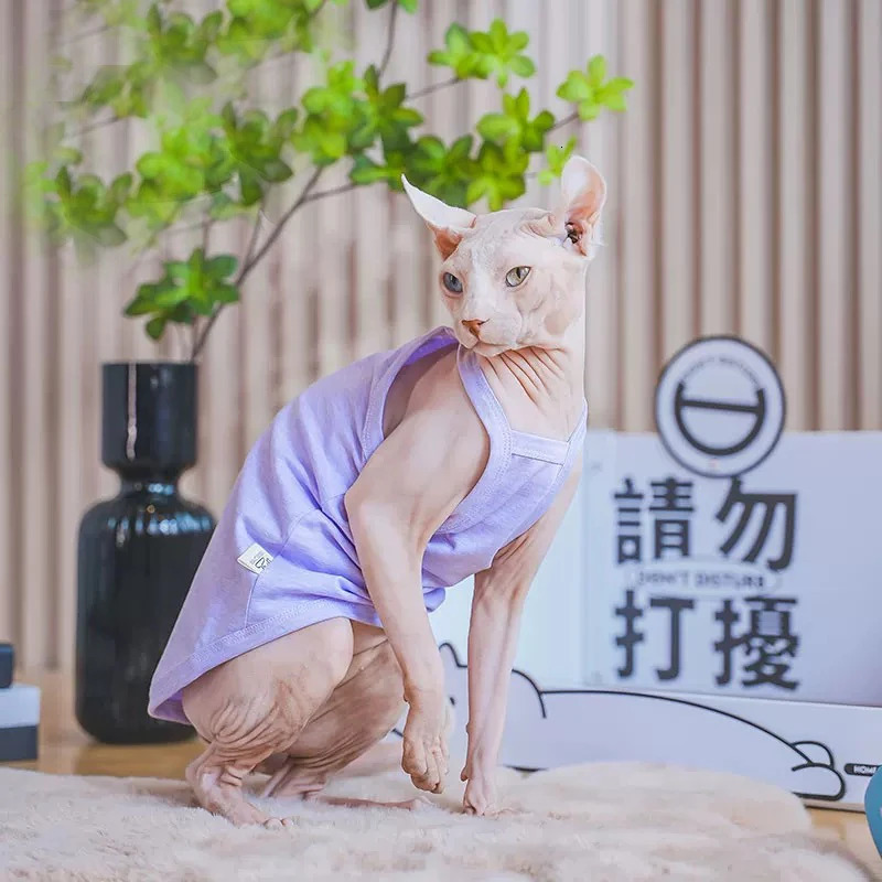 Solid Cat clothing Cotton Shirt for Sphyinx Soft Cute Sweety Suspenders Vest For Kittens Coat in Spring Summer Outwear 250318