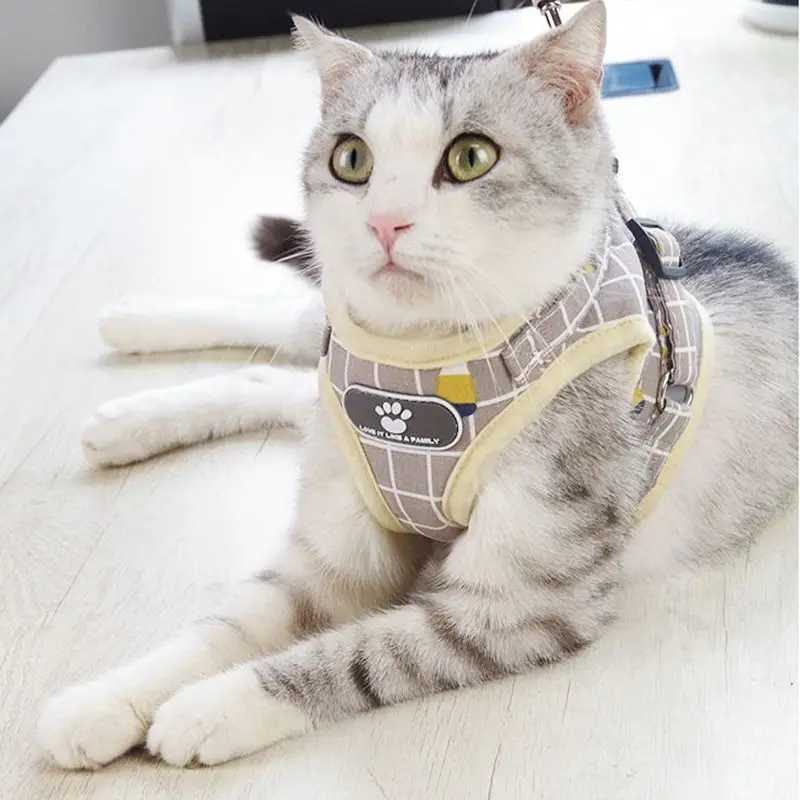 Reflective pet cat harness and belt set suitable for cat Gotas Sphinx harness walking dog harness mascot Accesorios szelki dla kotaT250318
