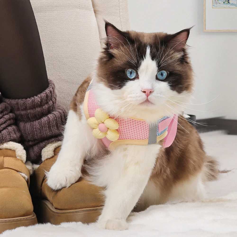 Cat and dog harness and belt breathable mesh pet chest strap for cats and dogs walking lead cloth doll Chihuahua vest harness bulldogT250318