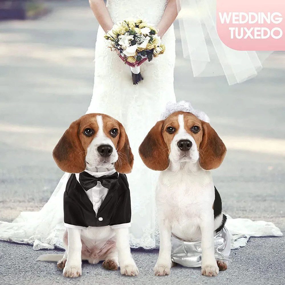 Dog tailcoat formal dog costume wedding attic party bow set cat birthday pet 250318