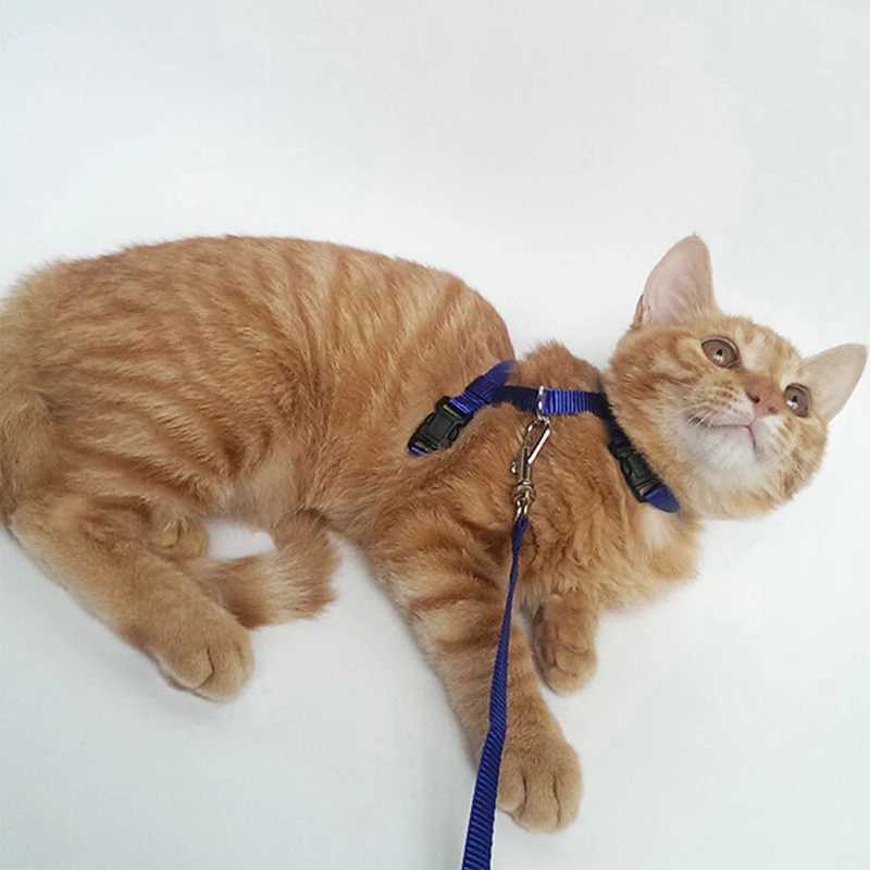 Cheap Sphinx cat harness and belt set for convenient pet harnesses suitable for cats Gotas Katten mascot accessories outdoor Kedi cat leadT250318