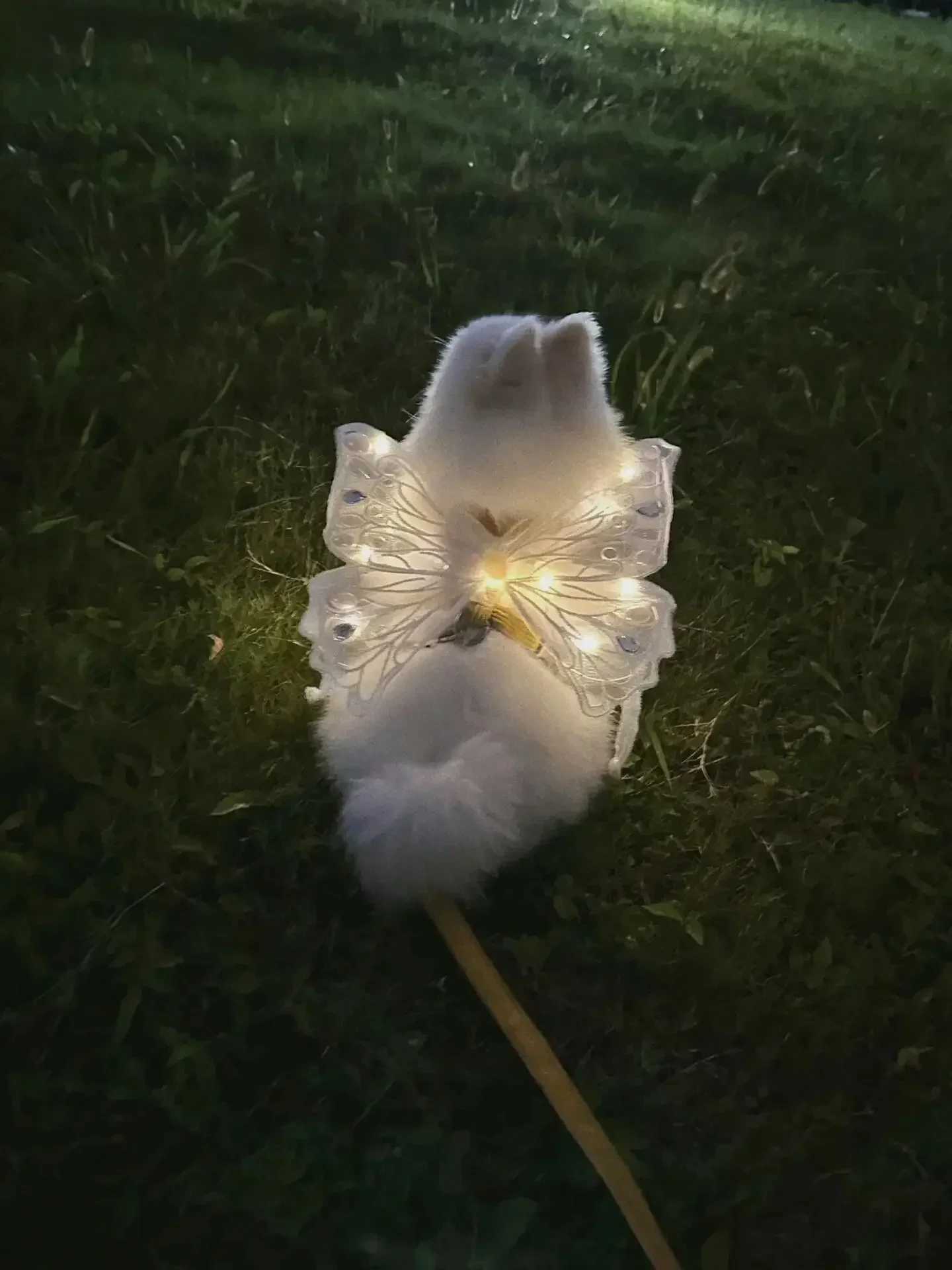 Dog wings glowing butterfly back decoration summer clothing for puppies chest back decoration mini dog Pomeranian teddy bearT250318