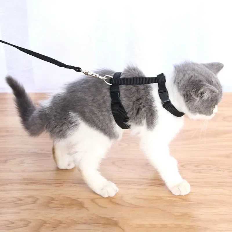 Lightweight adjustable cat harness and belt set leak proof kitten collar for hiking small animal puppy harnessT250318