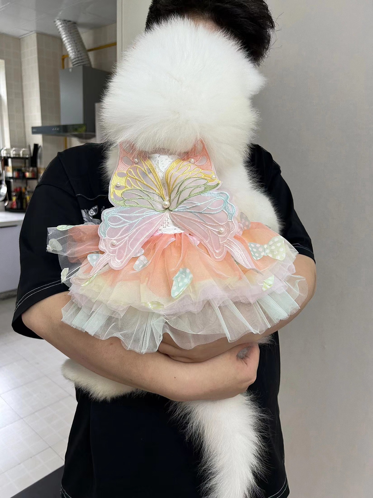 Dog Dresses, Rainbow Butterfly Dog Dresses for Small Dog Girl Puppy Lace Princess Dress Cat Outfit Pet Butterfly Costume for Kitten