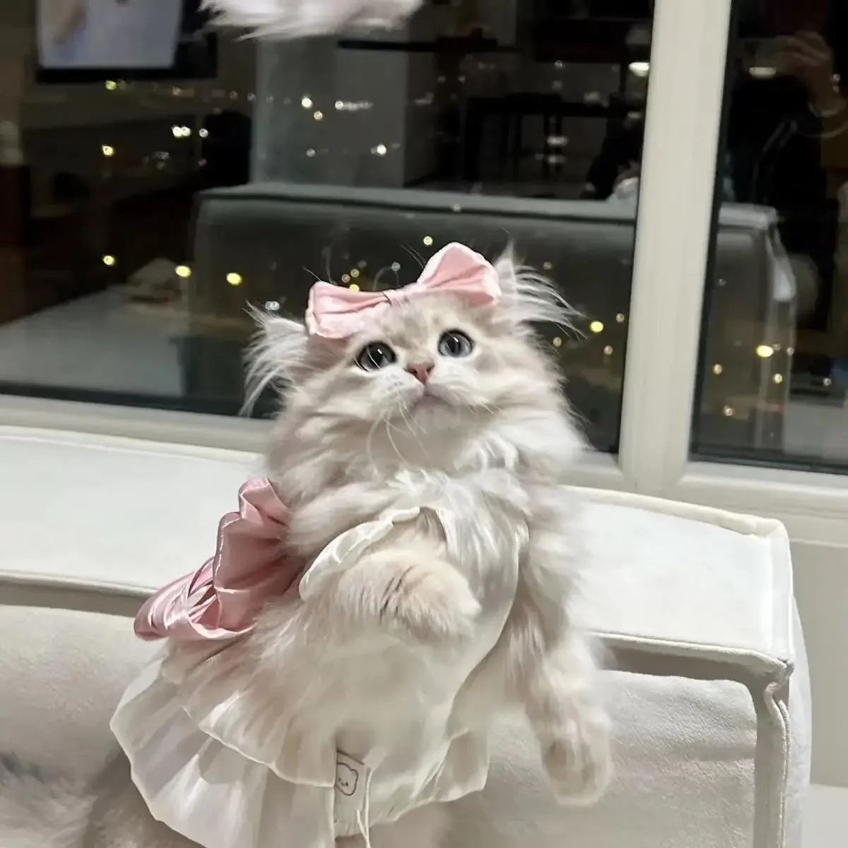 Pet Spring and Summer Flow Yarn Skirt Cats Dogs Pets Breathable Out Traction Thin Section of The Sun Dress Dog White 250318