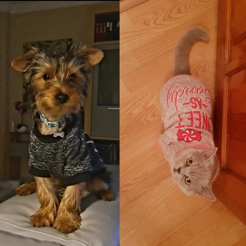 Chihuahua Mini Dog Clothing Pet Products Winter 250318