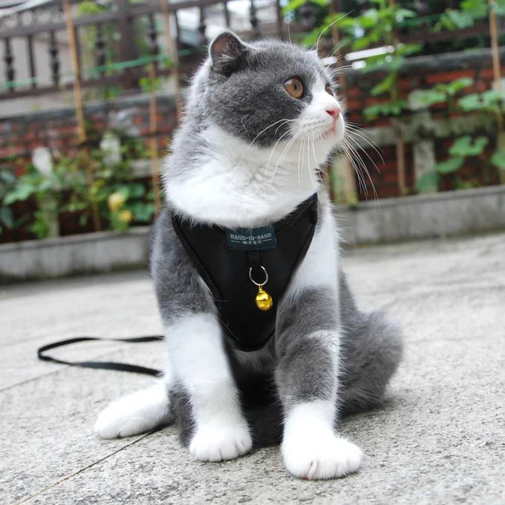 Pet cat harness vest strap with adjustable pet harness and bell walking strap suitable for cats dogs small and medium-sized dogs imitation leatherT250
