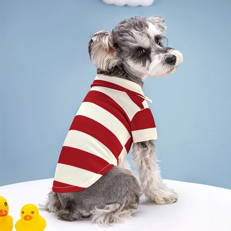 Pet dog polo shirt summer clothing casual small cat Tshirt Chihuahua puppy Yorkshire 250318
