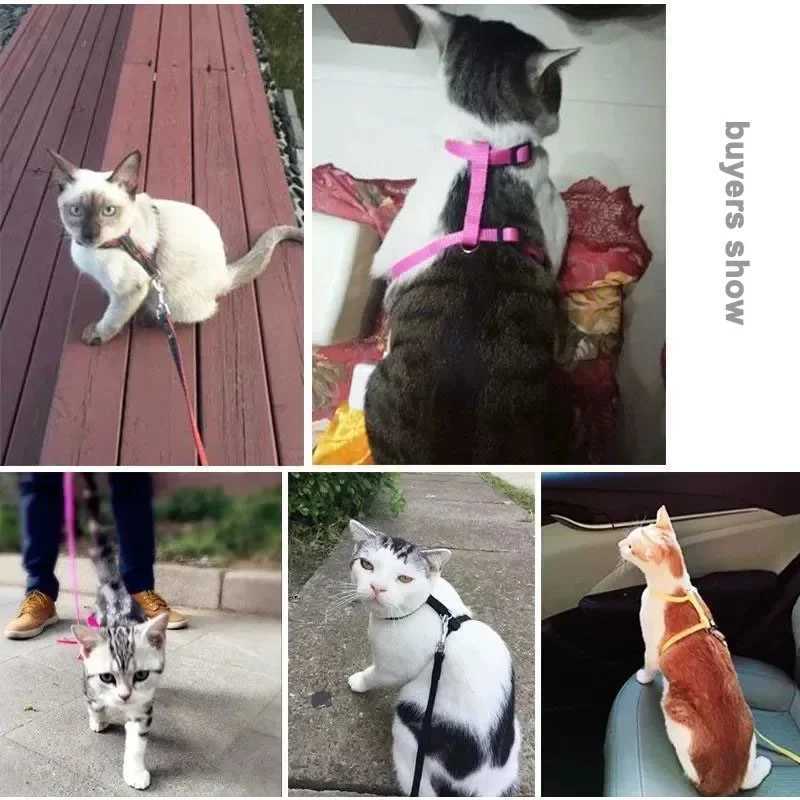 Fireproof cat harness and belt set adjustable cat harness nylon collar lightweight walking cat harness suitable for small dogsT250318