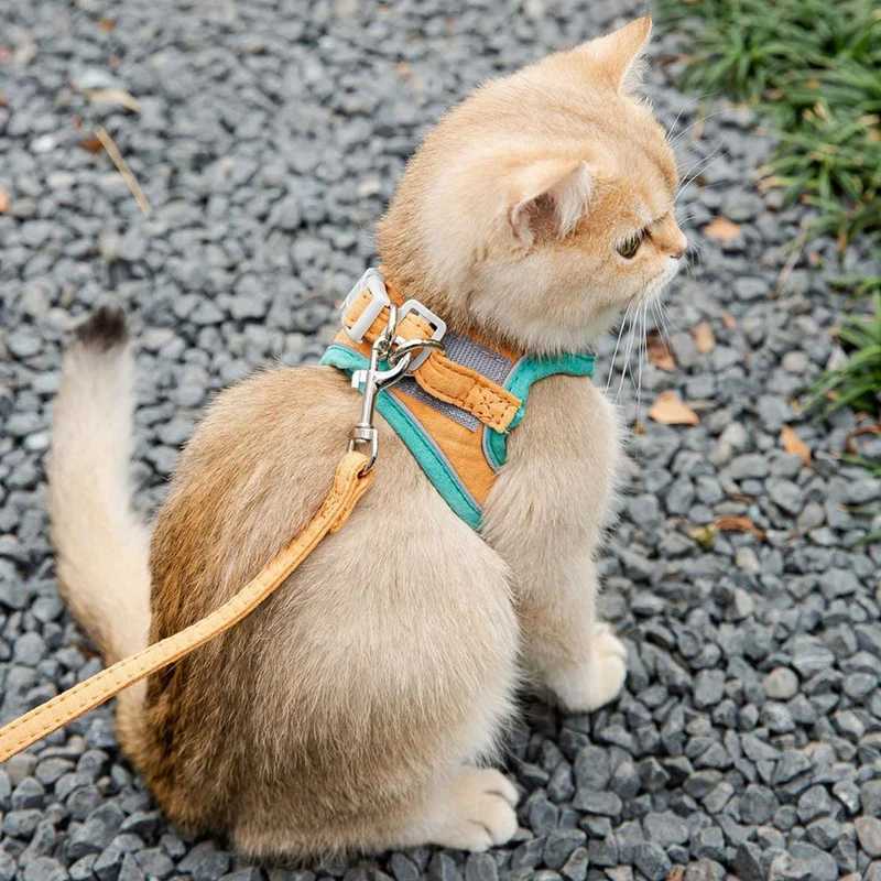 Cat Harness Leash Set For Chihuahua Accessories Dog Cat Vest Pug Leashes Walking Tools Walk Out Leads Rope Collar SuppliesT250318