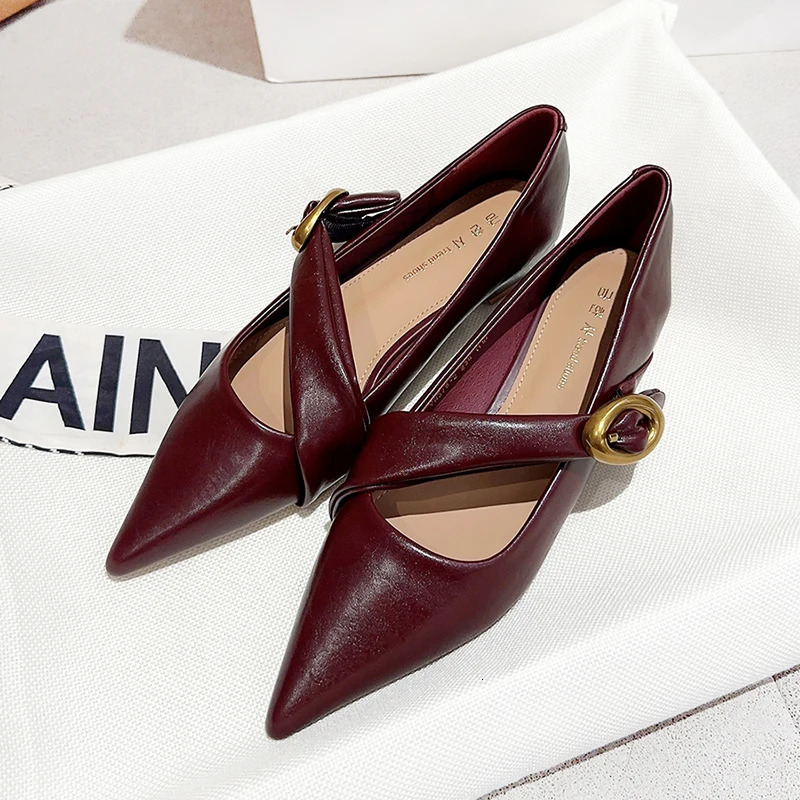 2025 Spring Vintage Women Pointed Toe Mary Jane Shoes Fashion Shallow Thick Heel Wedding Party Shoes 250318
