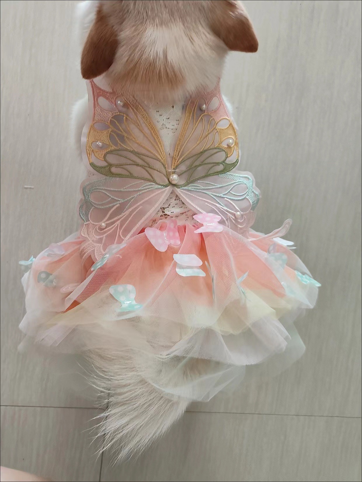 Dog Dresses, Rainbow Butterfly Dog Dresses for Small Dog Girl Puppy Lace Princess Dress Cat Outfit Pet Butterfly Costume for Kitten