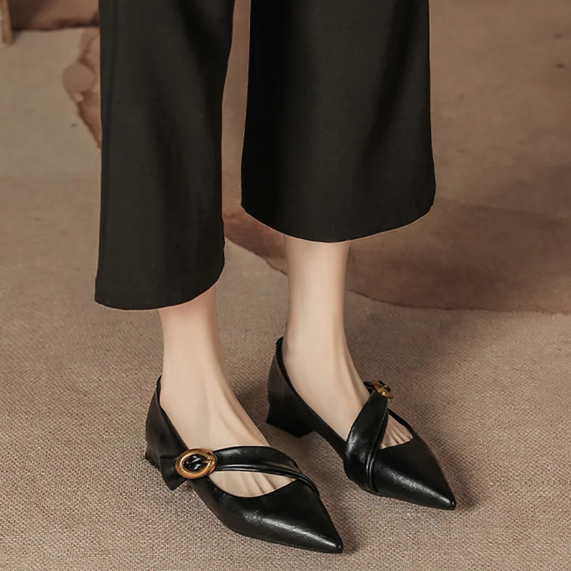 2025 Spring Vintage Women Pointed Toe Mary Jane Shoes Fashion Shallow Thick Heel Wedding Party Shoes 250318