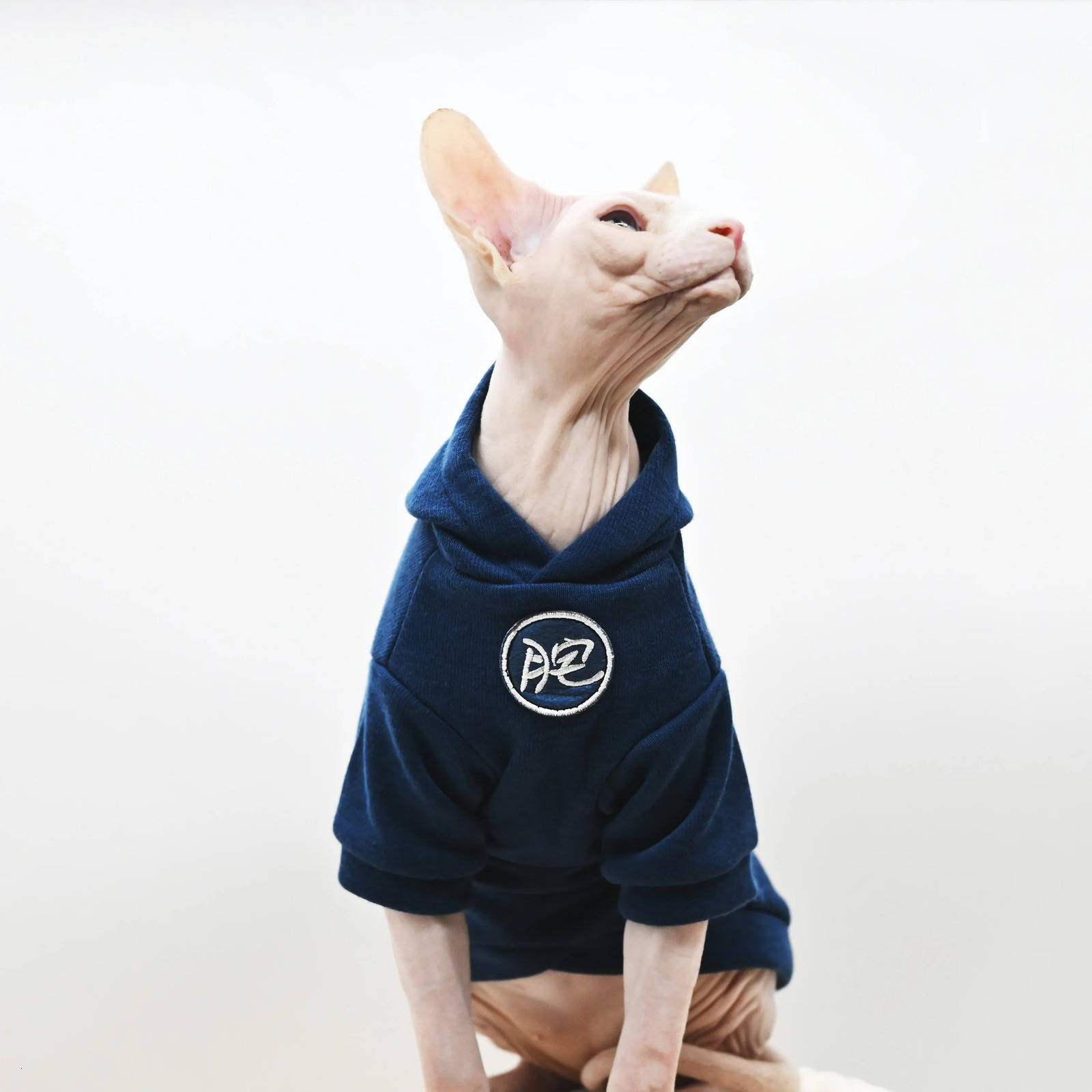 Sphinx cat pet clothing soft and warm hoodie sports style cotton hairless Devonshire winter 250318
