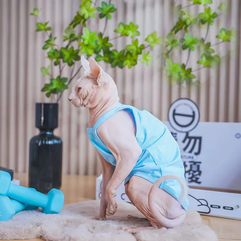 Solid Cat clothing Cotton Shirt for Sphyinx Soft Cute Sweety Suspenders Vest For Kittens Coat in Spring Summer Outwear 250318