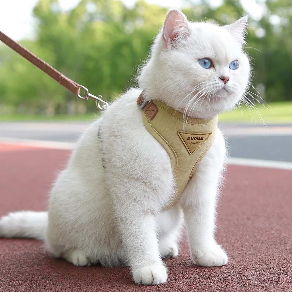 Cat puppy outdoor walking supplies fashionable pet straps and belt sets suitable for puppies cats breathable durable kitten 250318