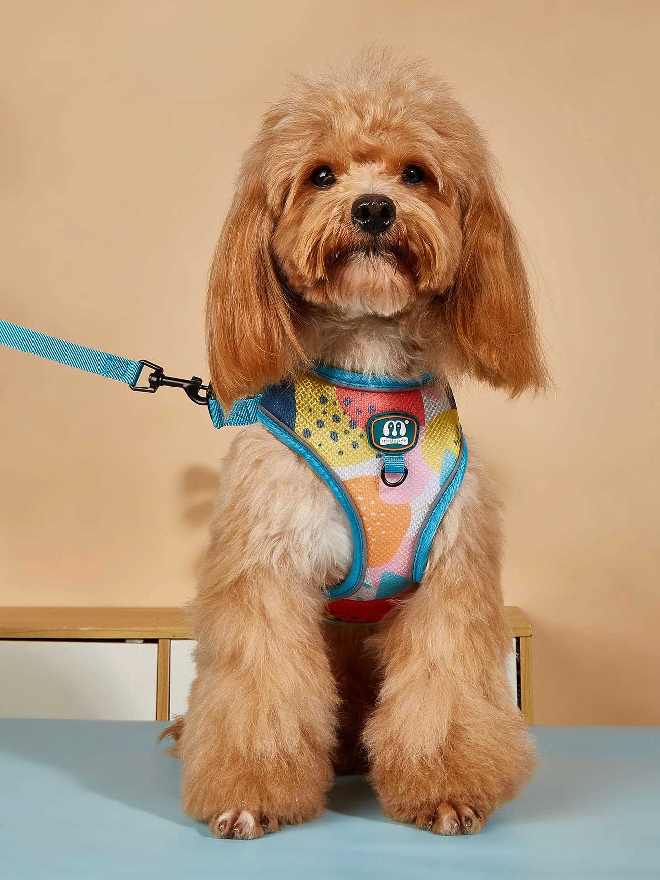 New Arrives Adjustable Soft Mesh With Fashionable Design Pet Harness And Leash SetT250318