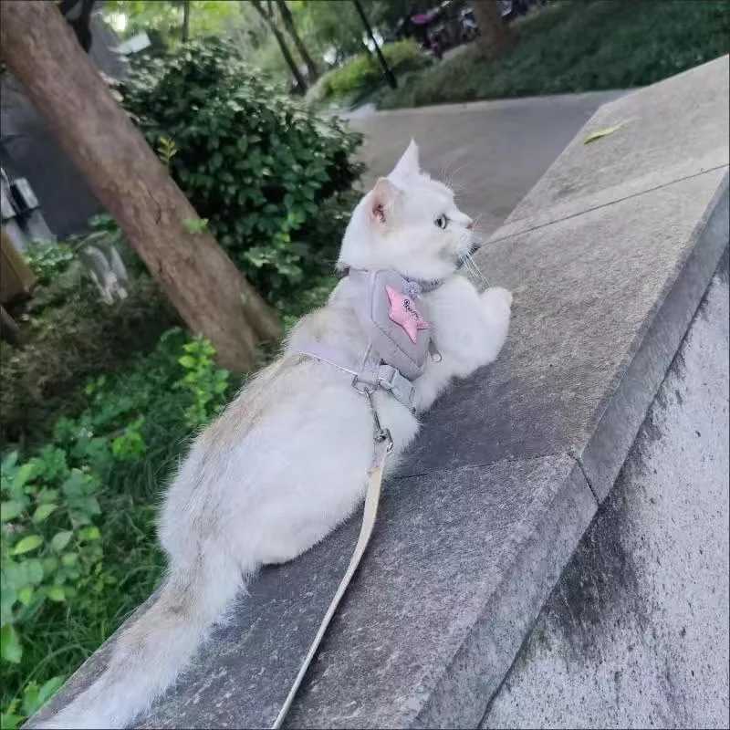 Fashionable cat and dog harness and belt set suitable for cat puppy cartoon printed pet harness backpack kitten rope accessoriesT250318
