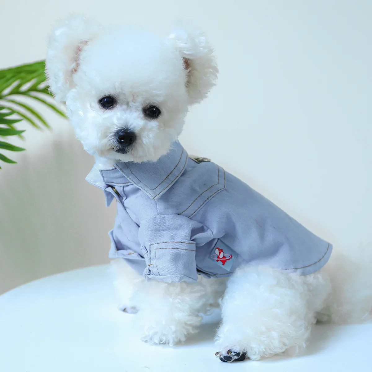 Dog Jeans Summer Shirt Denim Autumn Tshirt Small Medium Puppy Wear Cat Cool 250318