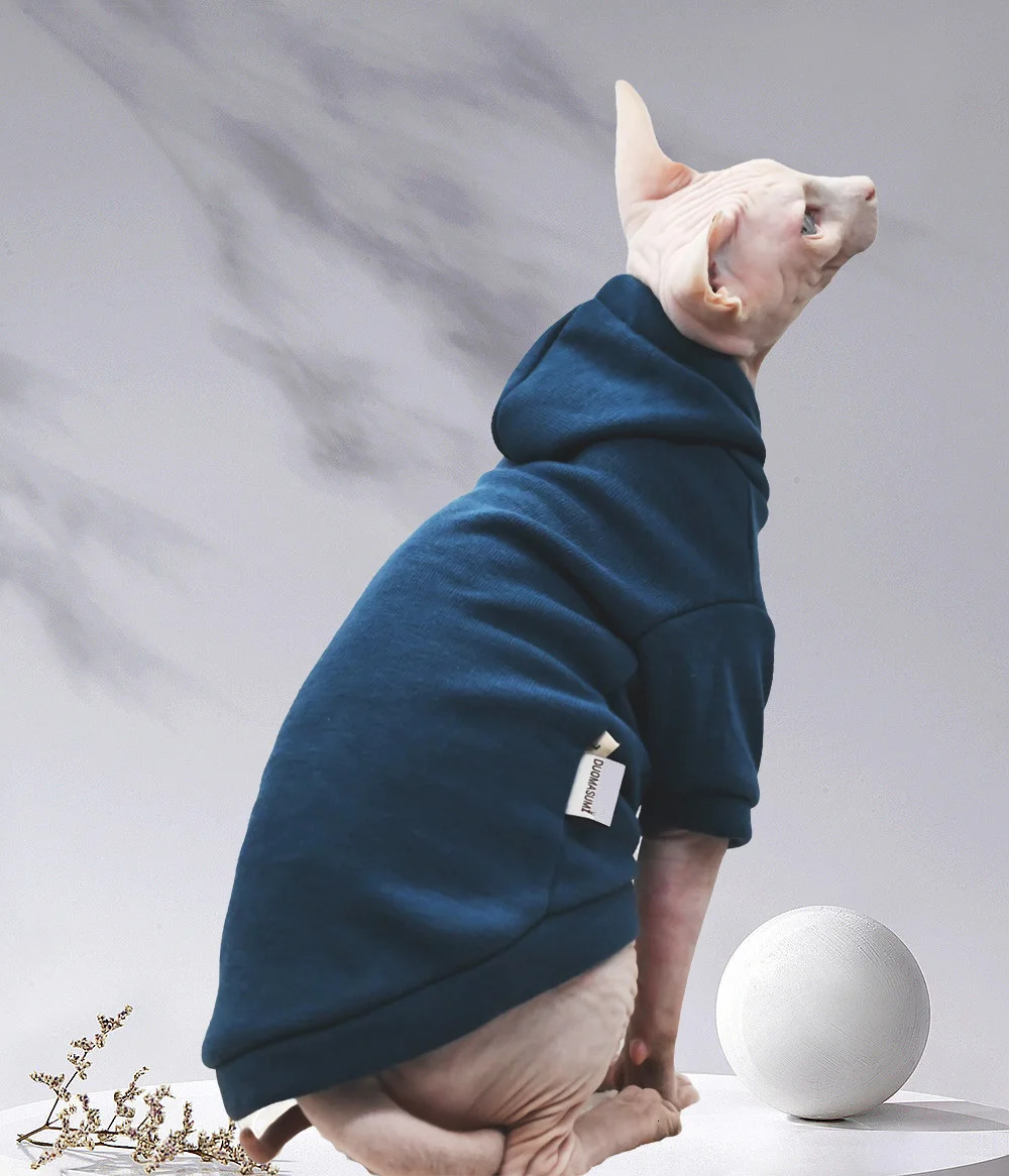 Sphinx cat pet clothing soft and warm hoodie sports style cotton hairless Devonshire winter 250318