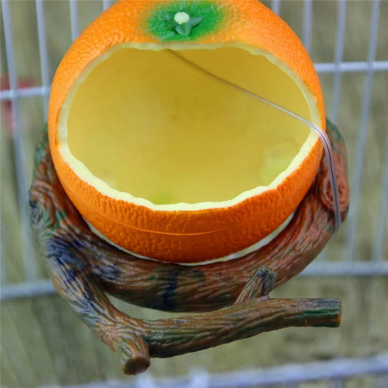 Food grade drinking bowl container feeder Interesting fruit shaped bird parrot Orange citrate for Flat noodles pet supplies 250318