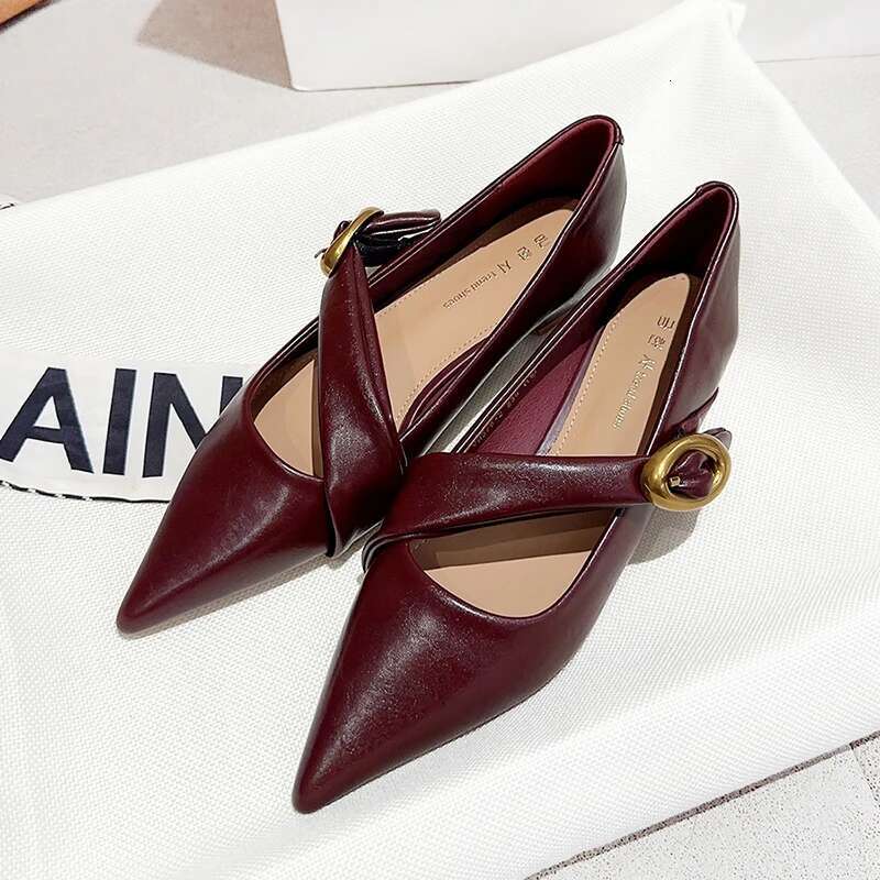 2025 Spring Vintage Women Pointed Toe Mary Jane Fashion Shallow Thick Heel Wedding Party Shoes