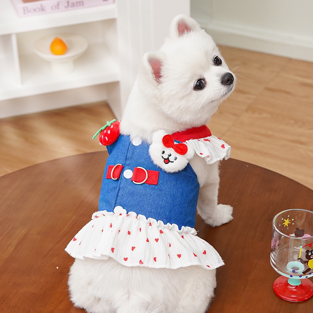Dog Dresses, for Small Dog Girl Puppy Lace Princess Dress Cat Outfit Pet Costume for Kitten