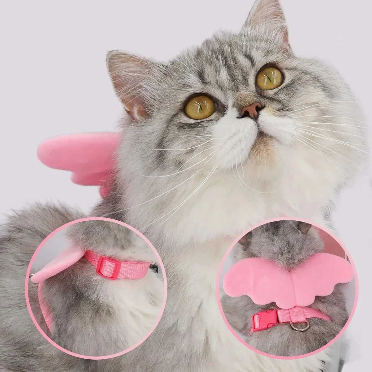 1 set of angel wing pet harness and handle suitable for cat and dog straps rabbit straps cat straps and adjustable chest strapsT250318