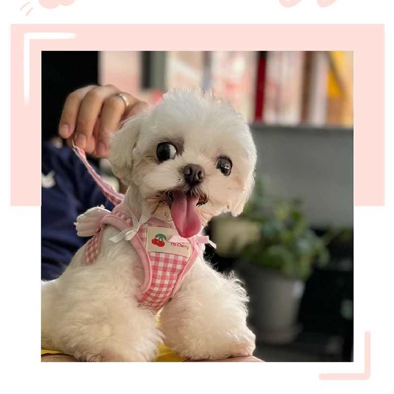 New design pet dog harness set with pink checkered angel wings decoration polyester chest traction small dog bow tie soft cat harnessT250318