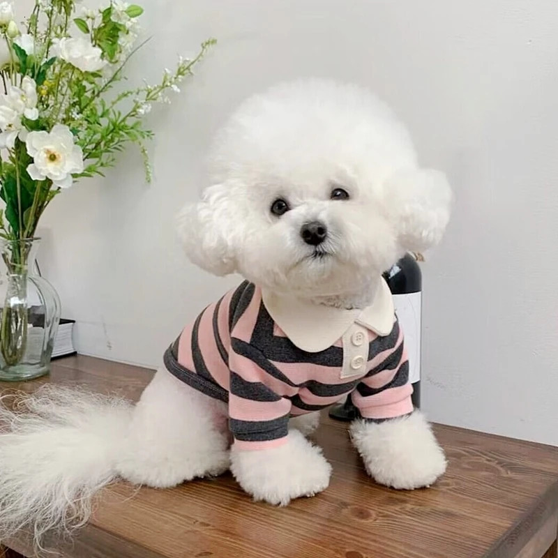 Summer dog polo shirt puppy clothing Bichon Frise Chihuahua striped sweater small and mediumsized cooling vest 250318